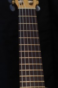 Brazilian Rosewood with Gold Frets