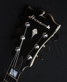 Headstock with Mother of Pearl Insignia