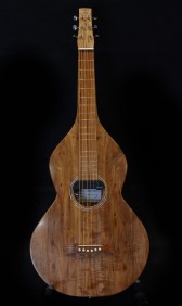 Lap Slide Guitar Front Profile