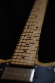 Maple Fingerboard with Nickel Frets