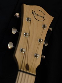 Electric Headstock